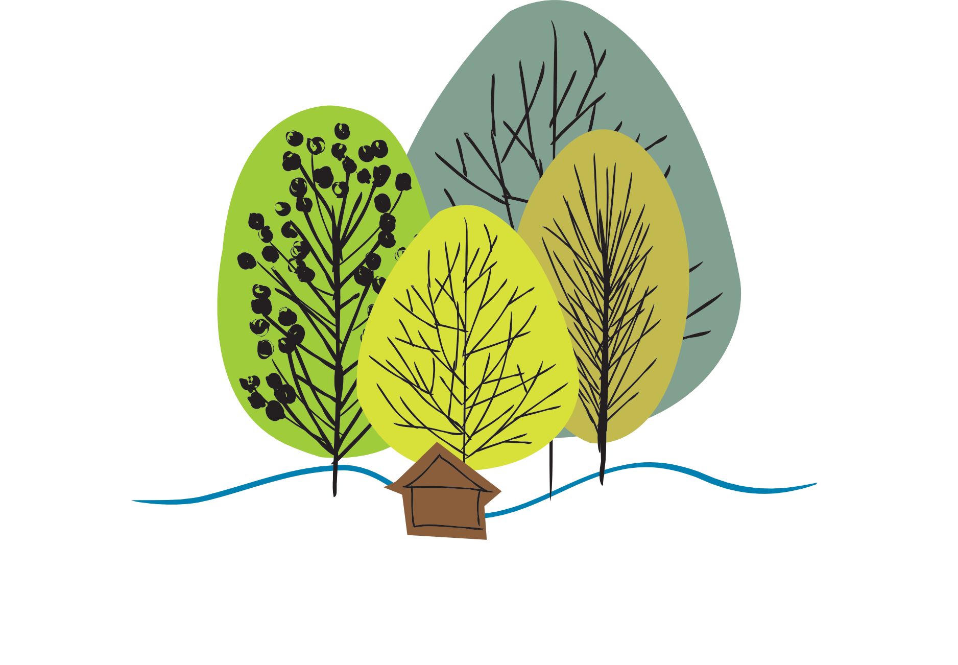 River and Woods